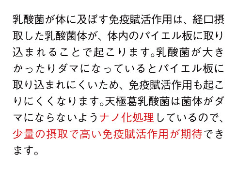 葛研究所葛由来乳酸菌タブレット