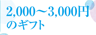 202005お中元値段6_2