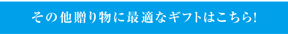 202005お中元値段