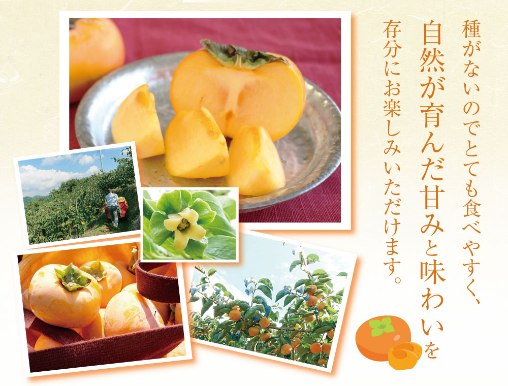 たねなし柿商品トップ