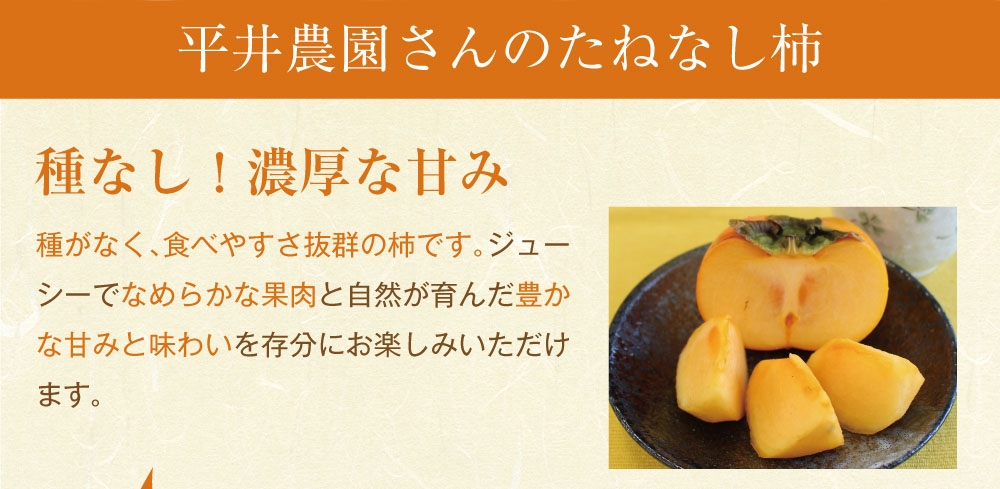 たねなし柿商品トップ