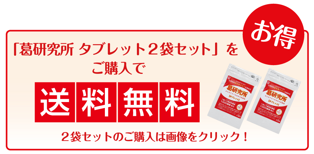 2020葛研究所タブレット送料無料説明