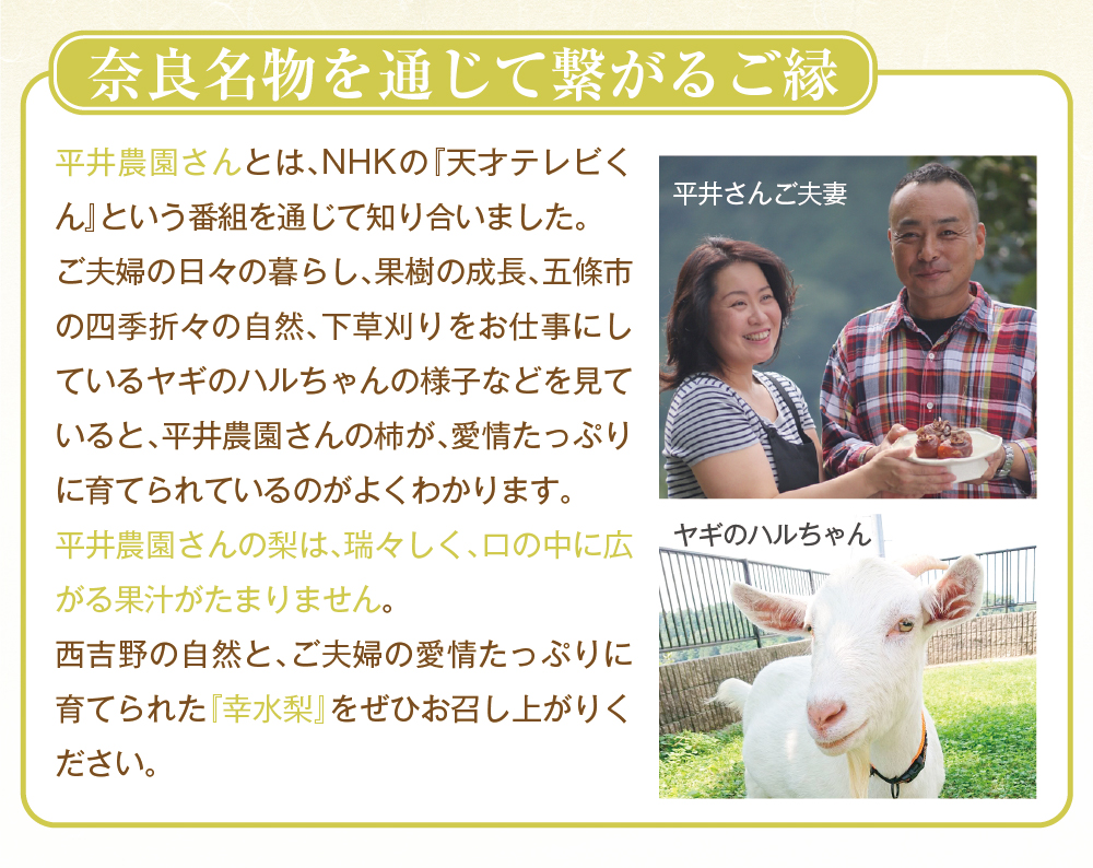 幸水梨商品トップ