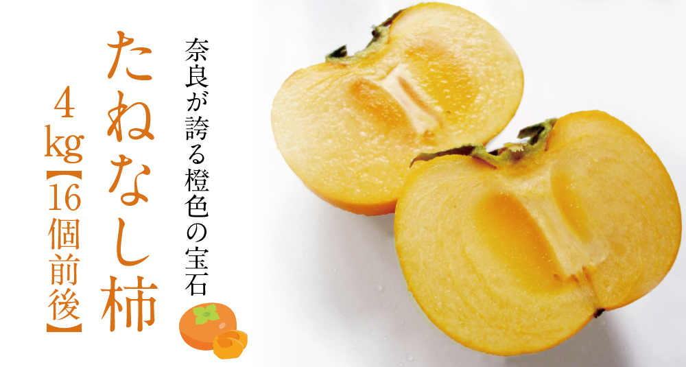 たねなし柿商品トップ