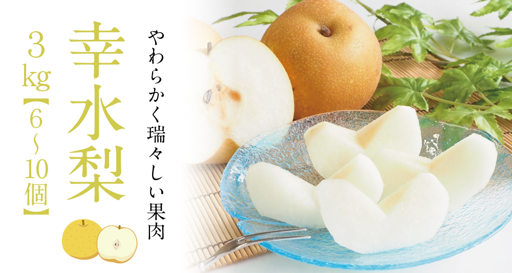 幸水梨商品トップ