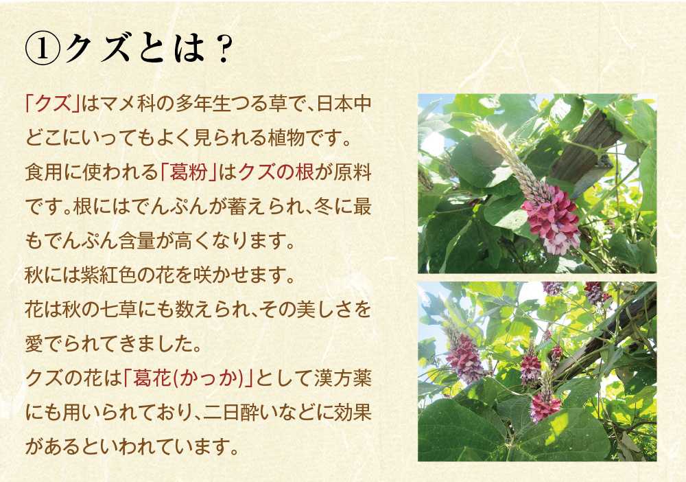 吉野本葛粉末商品トップ4