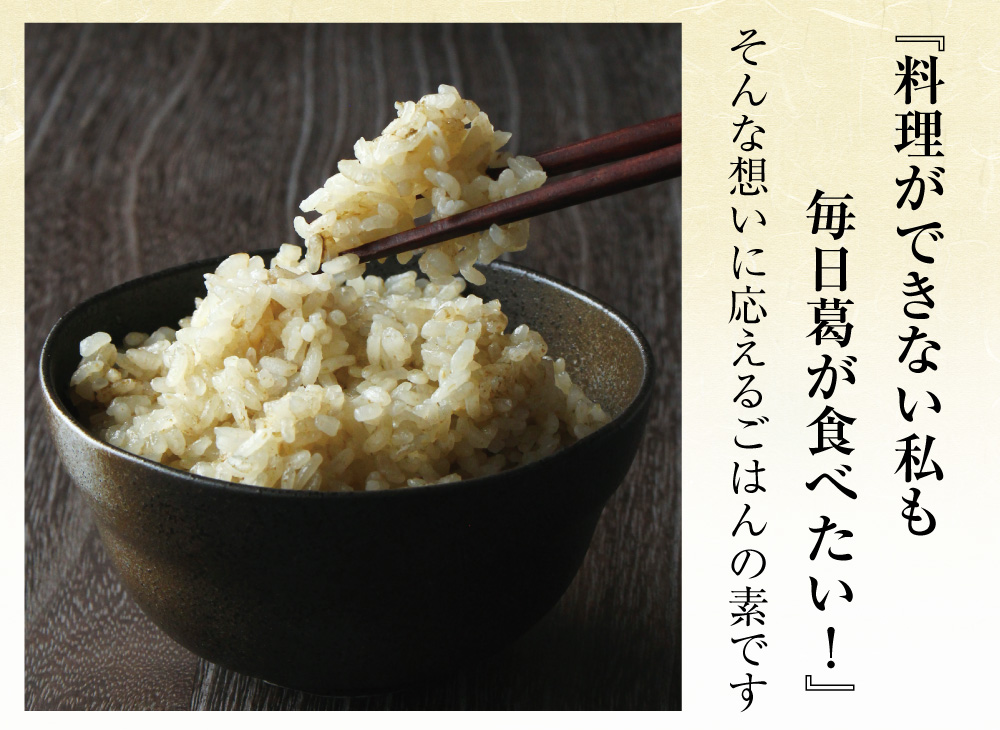 kagominさん専用 スイング式法面草刈機 KalMax｜草刈・防除機器｜製品情報｜農業