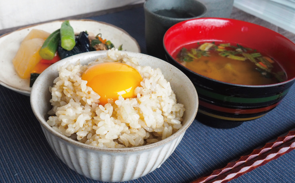 comokawa 　詳細必読 葛ごはんの素 プレミアム| 吉野本葛 天極堂 オンラインショップ