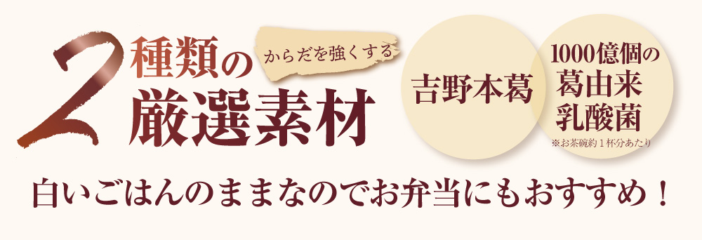 葛ごはんの素商品トップ5