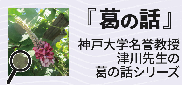 葛の話