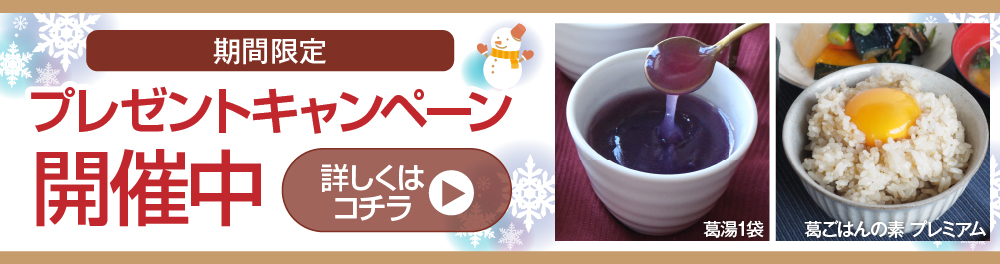 ポラリスプレゼントキャンペーン