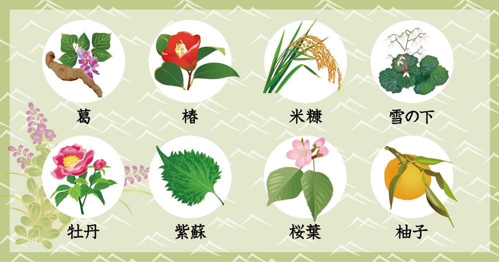 葛の精 ジェルクリーム | 吉野本葛 天極堂 オンラインショップ