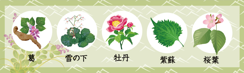 葛の精 モイスチュアセット | 吉野本葛 天極堂 オンラインショップ