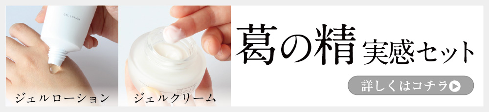 葛の精実感セット