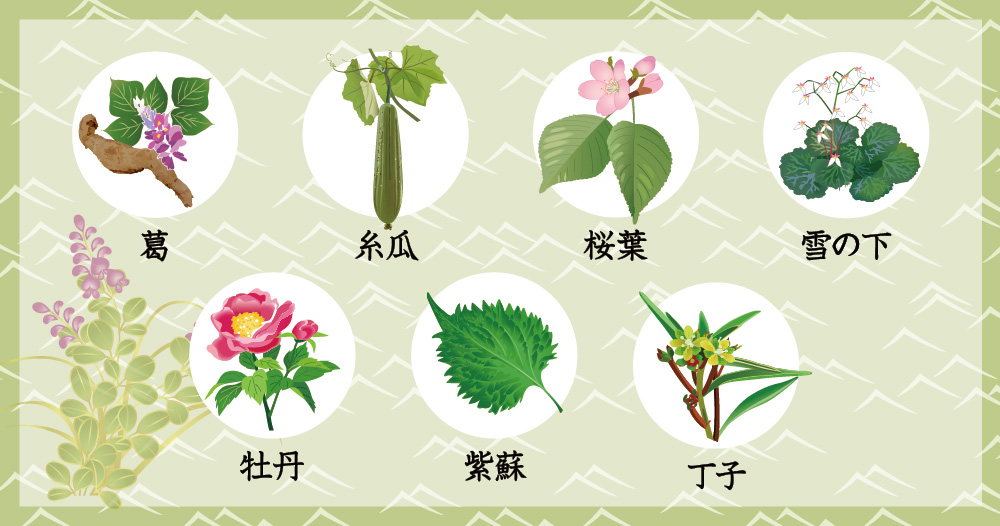 葛の精 実感セット | 吉野本葛 天極堂 オンラインショップ