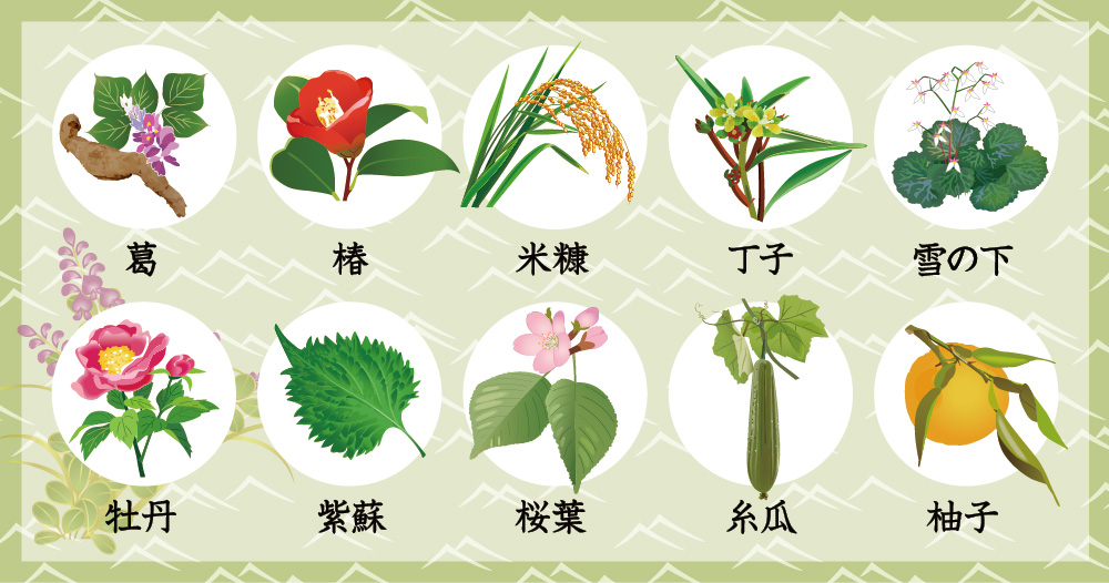 葛の精モイスチュアソープ商品トップ