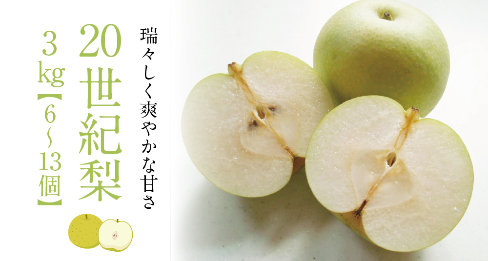 20世紀梨商品トップ