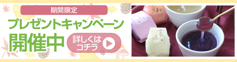ポラリスプレゼントキャンペーン