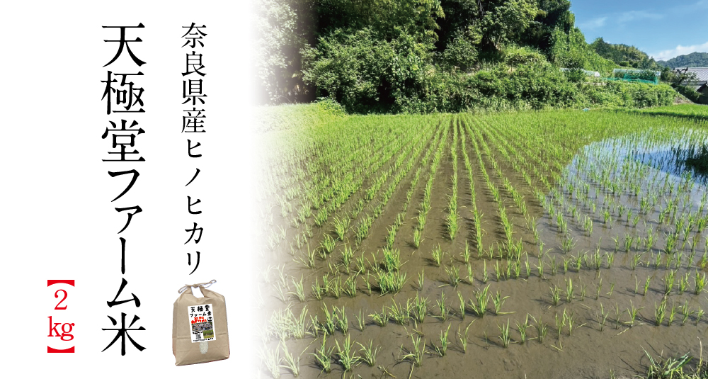 天極堂ファーム米2kg_商品トップ