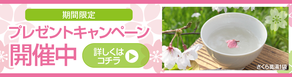 ポラリスプレゼントキャンペーン