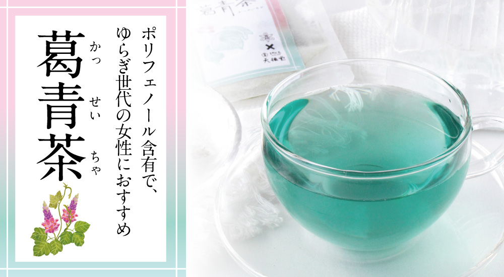 2026葛青茶トップ１