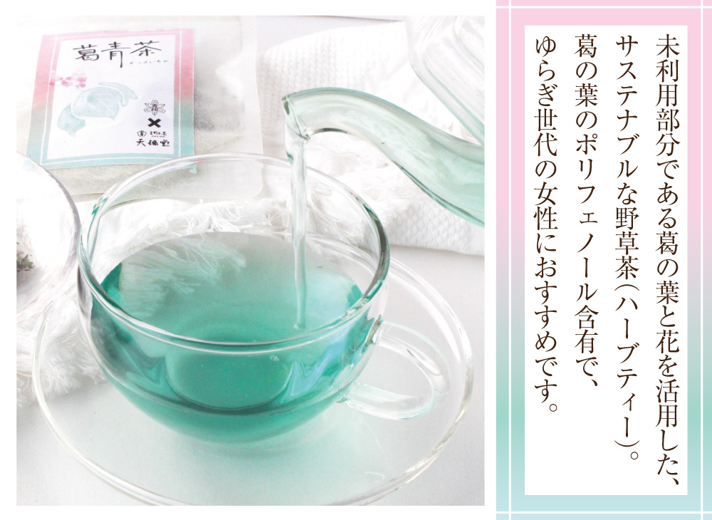 2026葛青茶トップ２