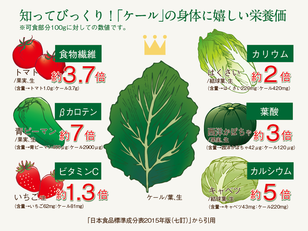 乾燥ケール粉末 5kg
