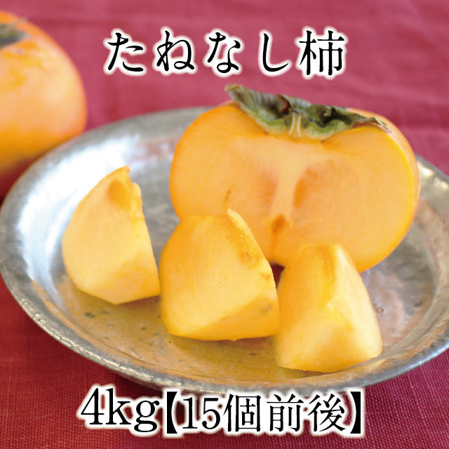 2024たねなし柿アイコン