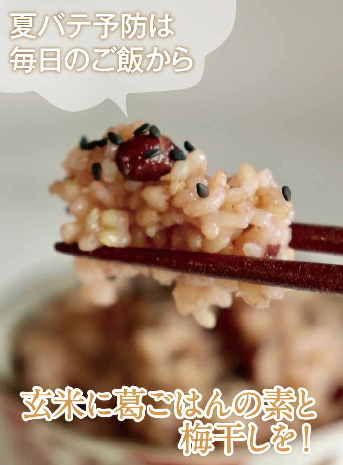 玄米に葛ごはんの素と梅干しを！