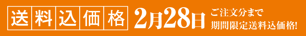 送料込価格2月28日まで